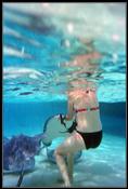11 View from under the surface